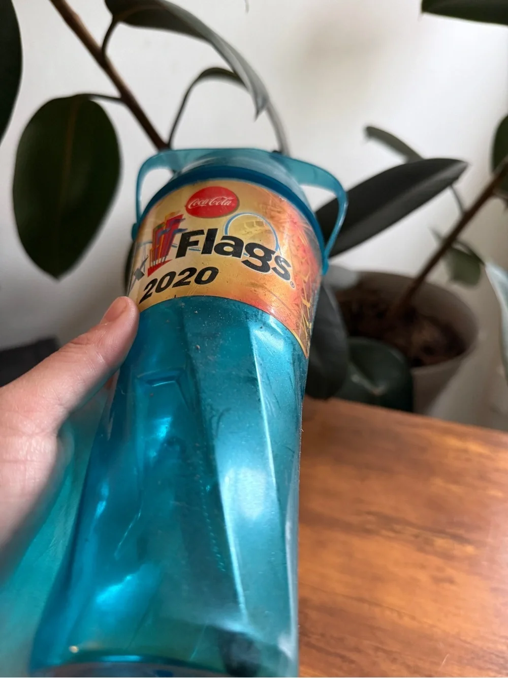 2020 Teal Plastic Souvenir Cup with Straw Six Flags Coca Cola